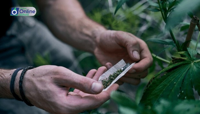 Lesson 11: Plants as Drug Sources in Pakistan